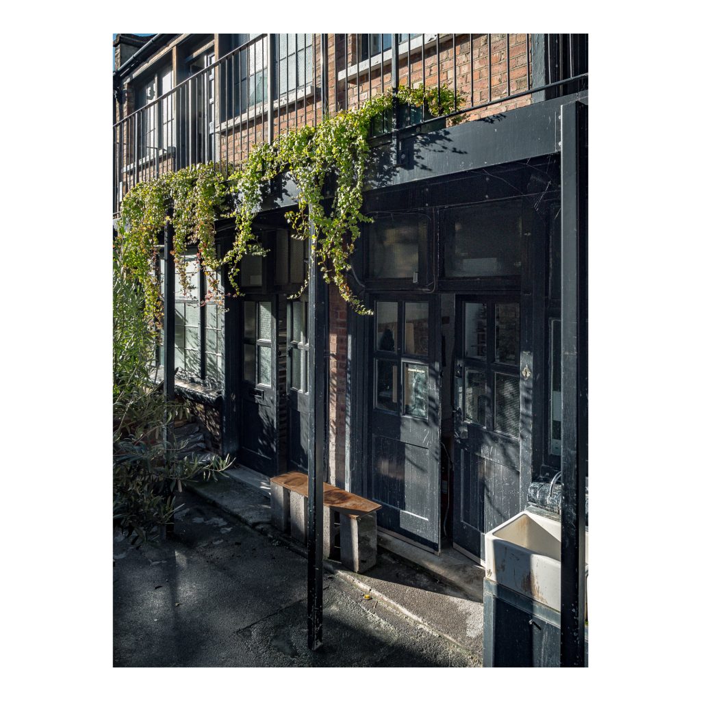 Crown 16