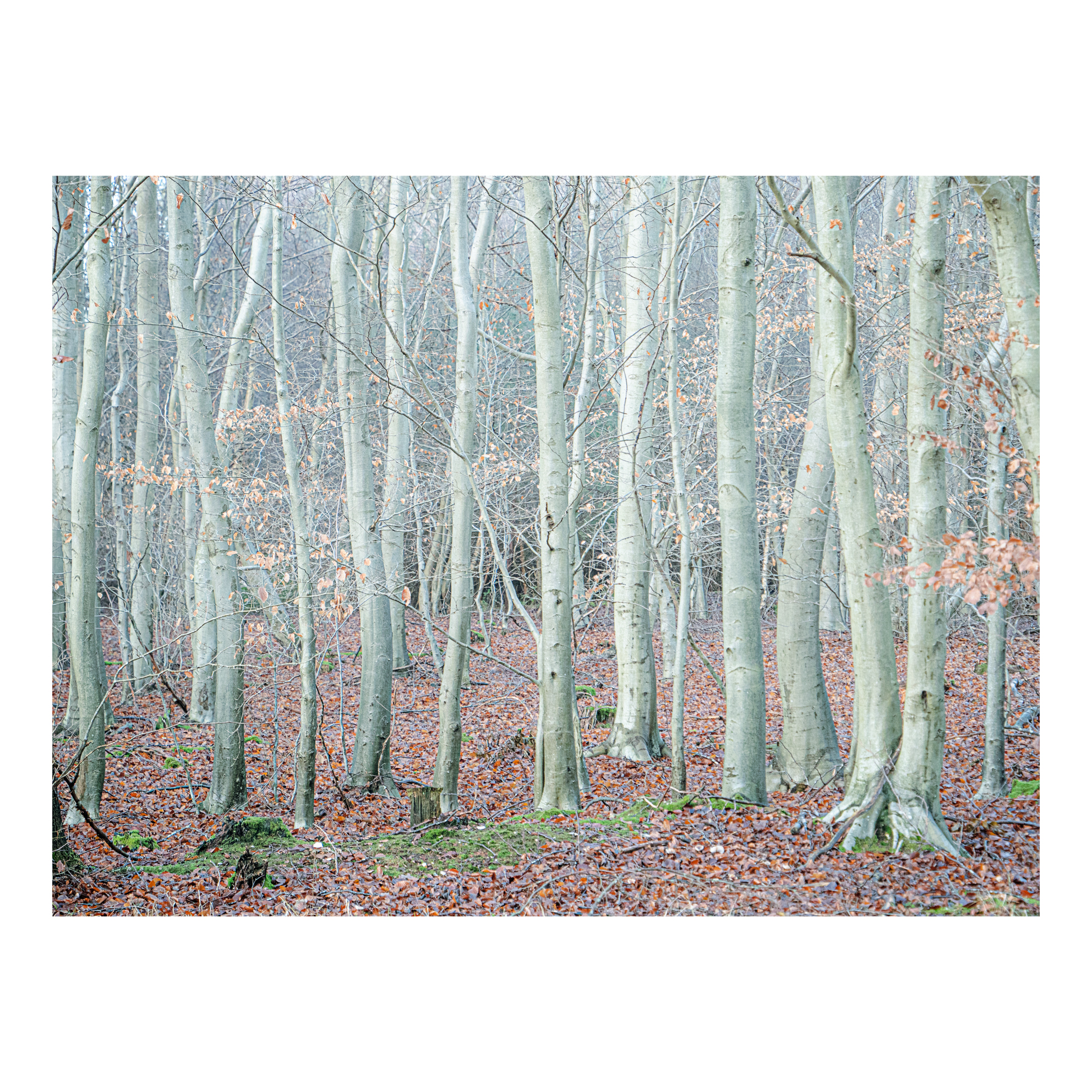 Klimt