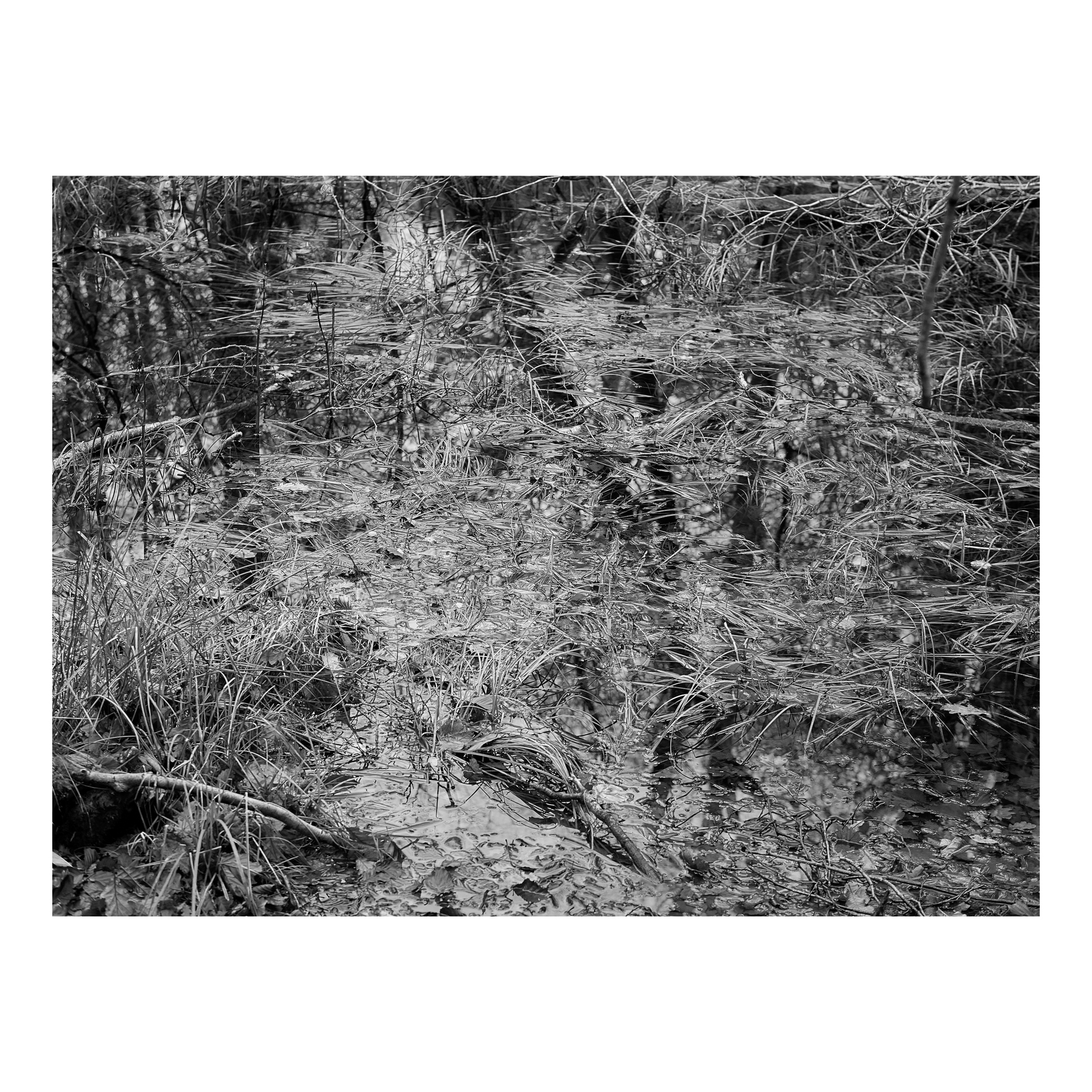 Wood 2 01